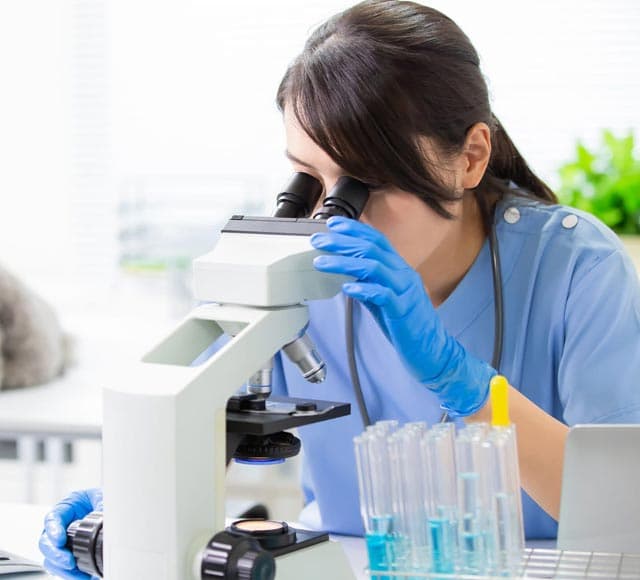 Veterinaria observando una muestra por el microscopio en el laboratorio de análisis de Ferrol
